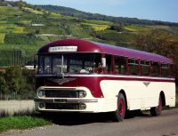 Le chausson rouge de 1963 pendant les vendanges en octobre 2013.