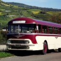 Le chausson rouge de 1963 pendant les vendanges en octobre 2013.