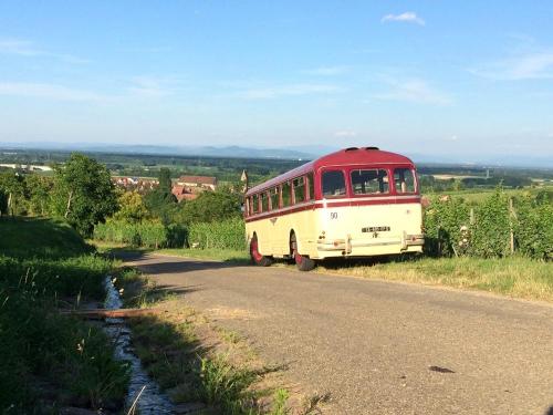 Notre vieux car chausson sur les hauteurs d eguisheim