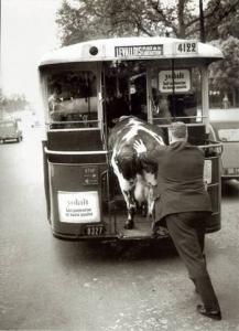 Une passagere d exception dans un bus mythique